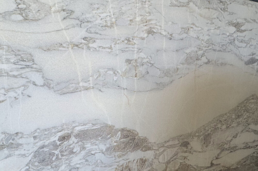 Albino - Image 4