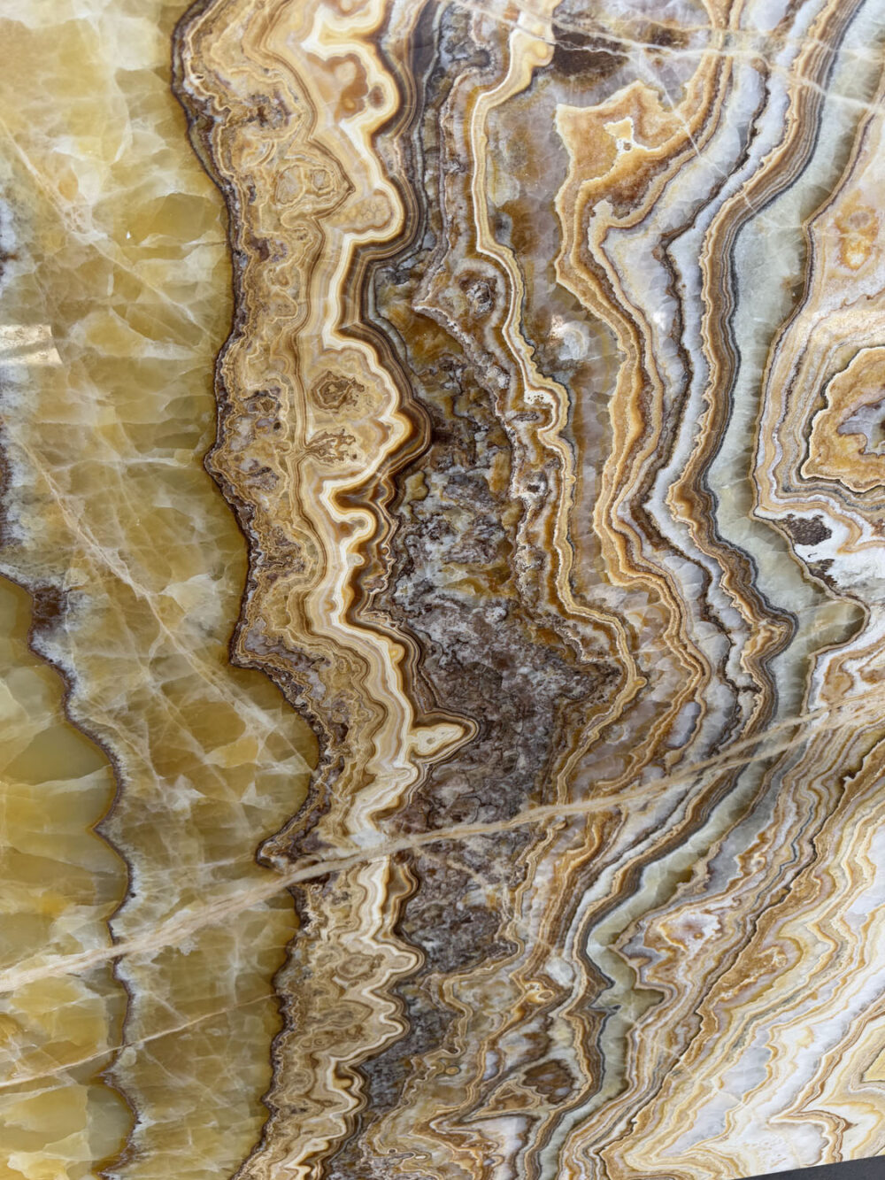Ambrosia - Image 6
