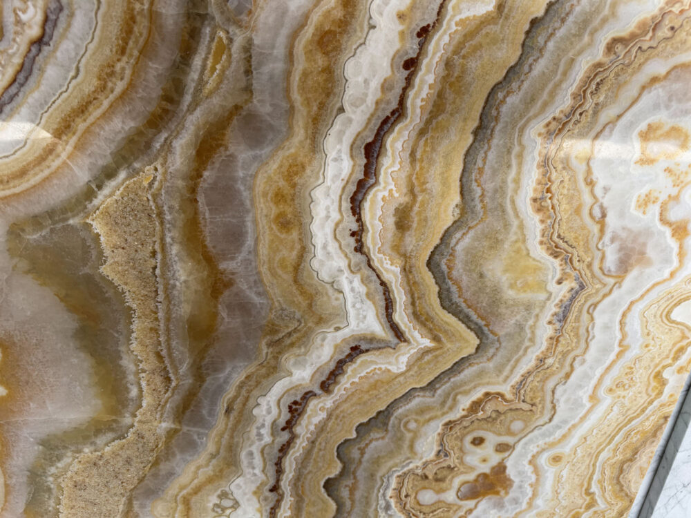 Ambrosia - Image 8
