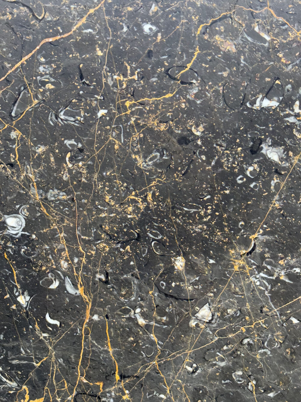 Cinnamon - Image 8