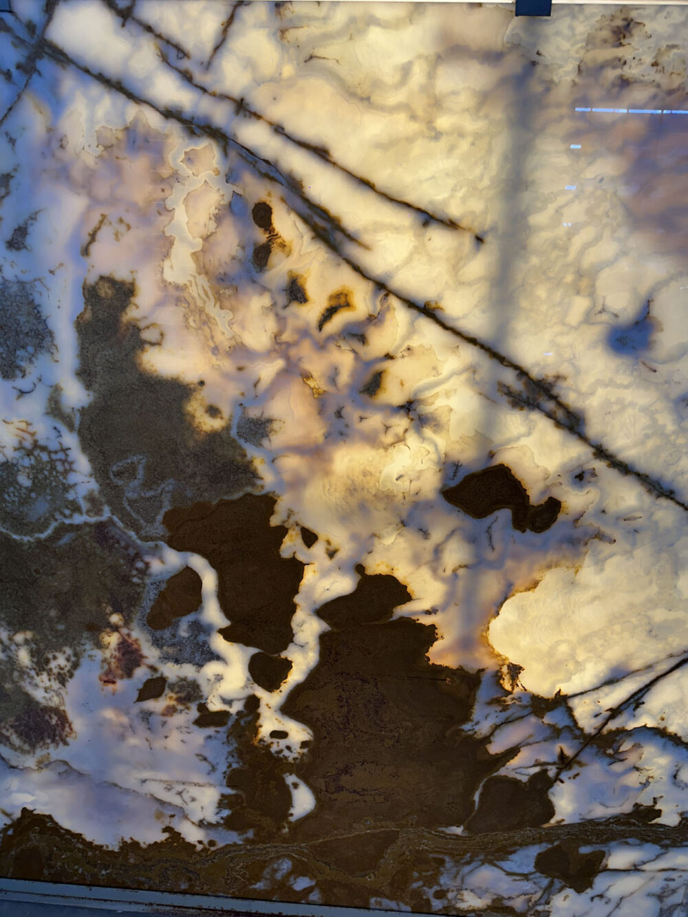 Evening Star - Image 19