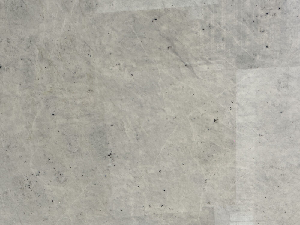Felis Nigripis - Image 2