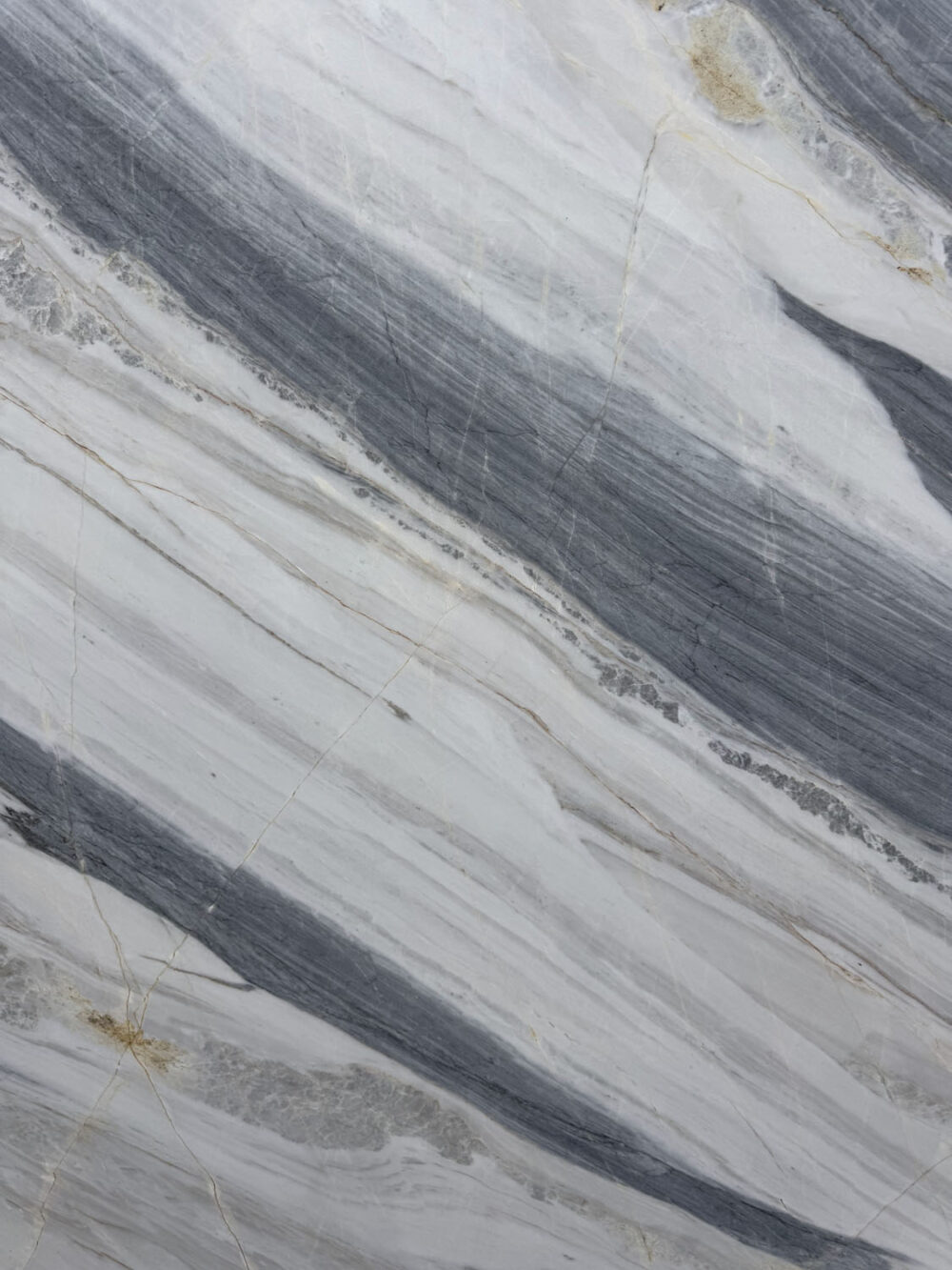 Graycie - Image 14