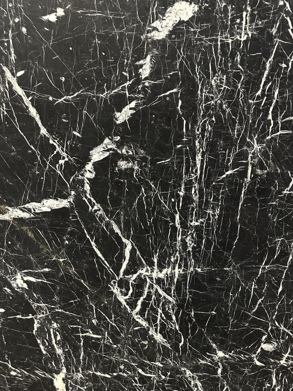 Jaguar - Image 8