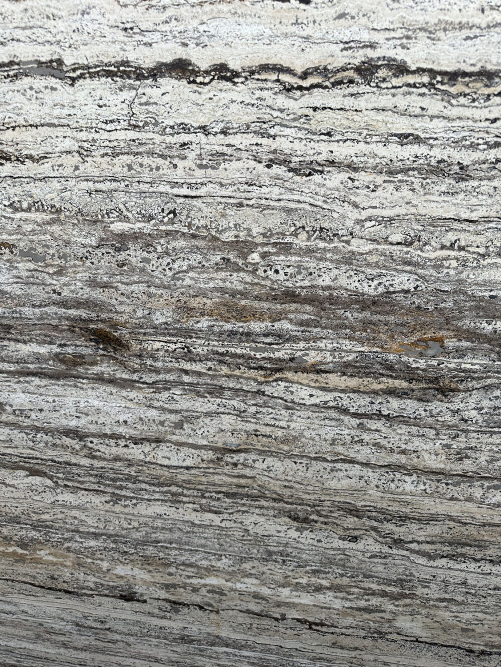 Seaside Tan - Image 8