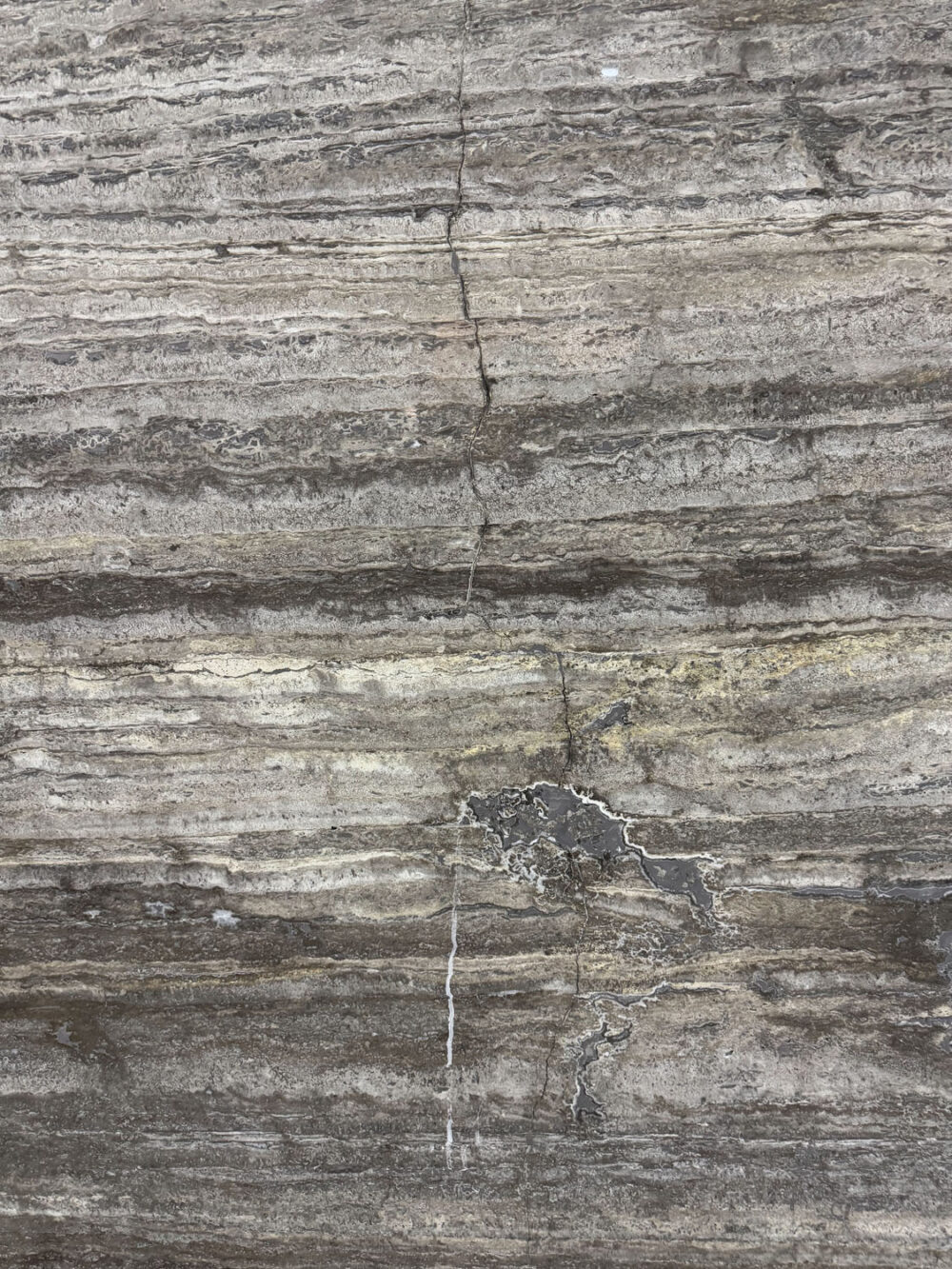 Seaside Tan - Image 11