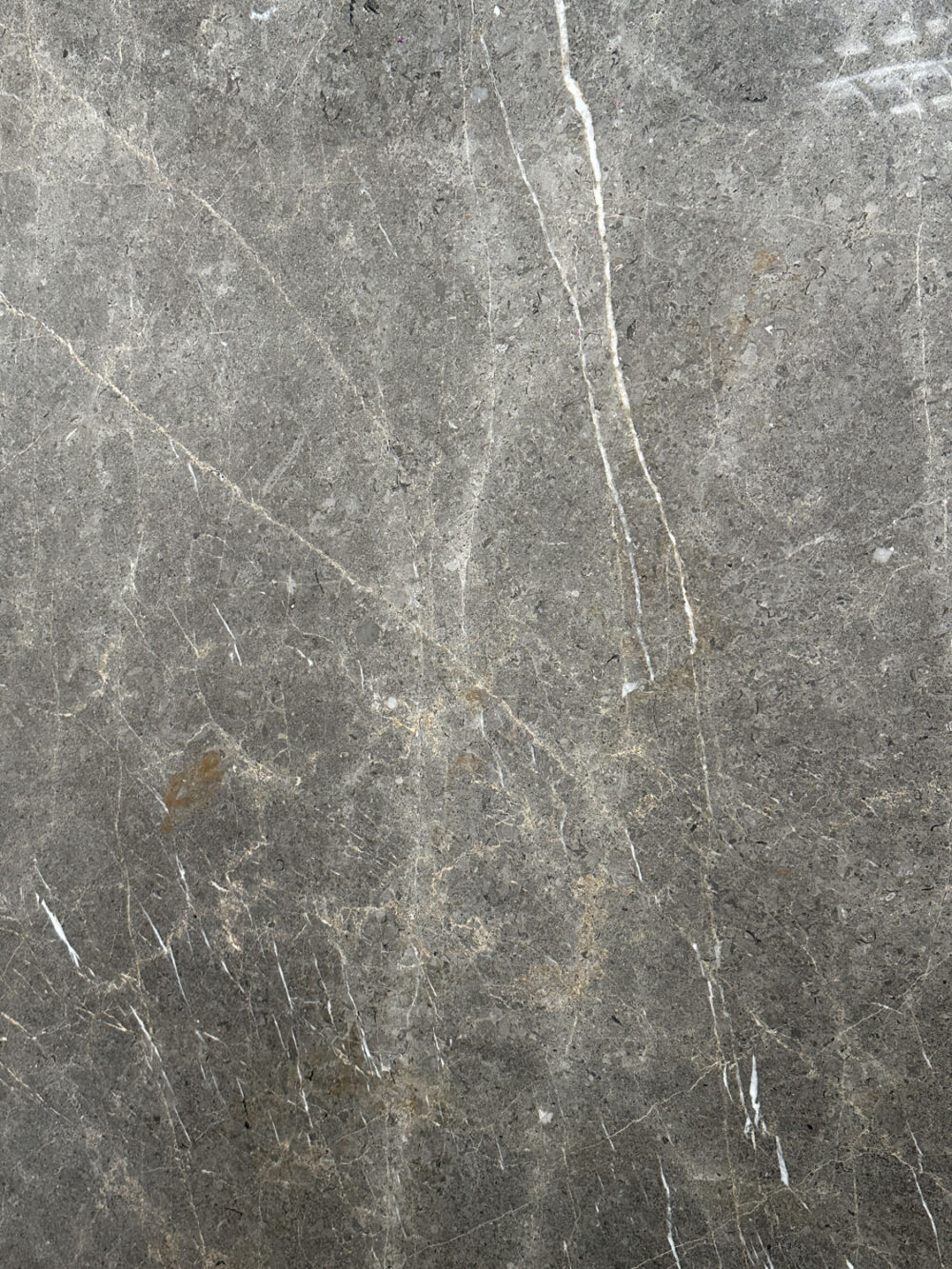 Veined - Image 7