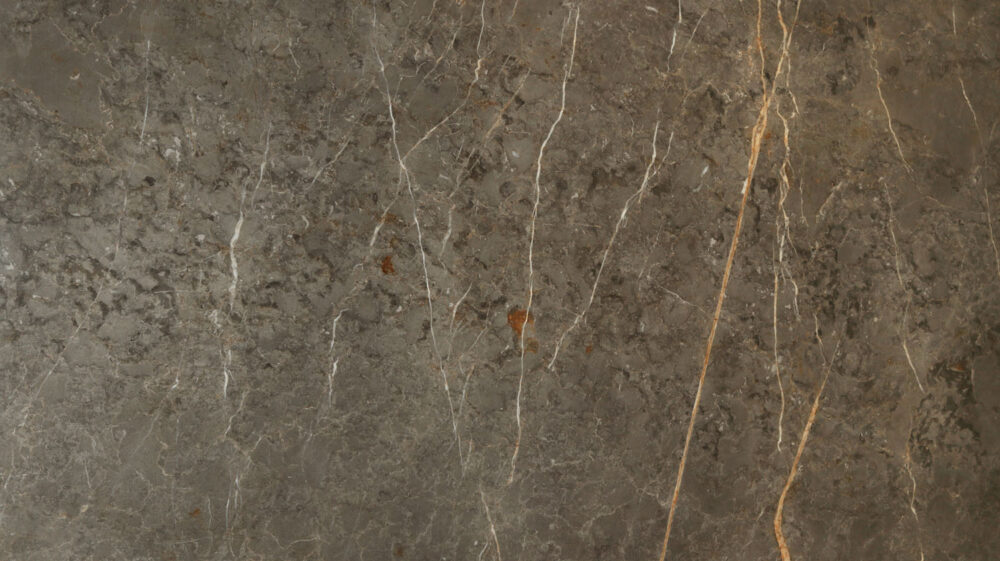Veined - Image 4