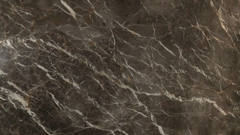 Veined - Image 3