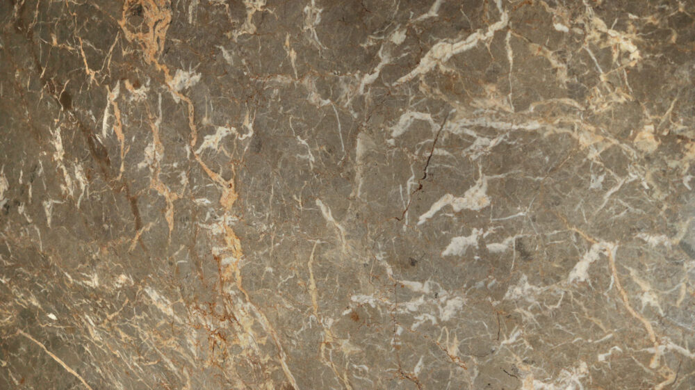 Veined - Image 2