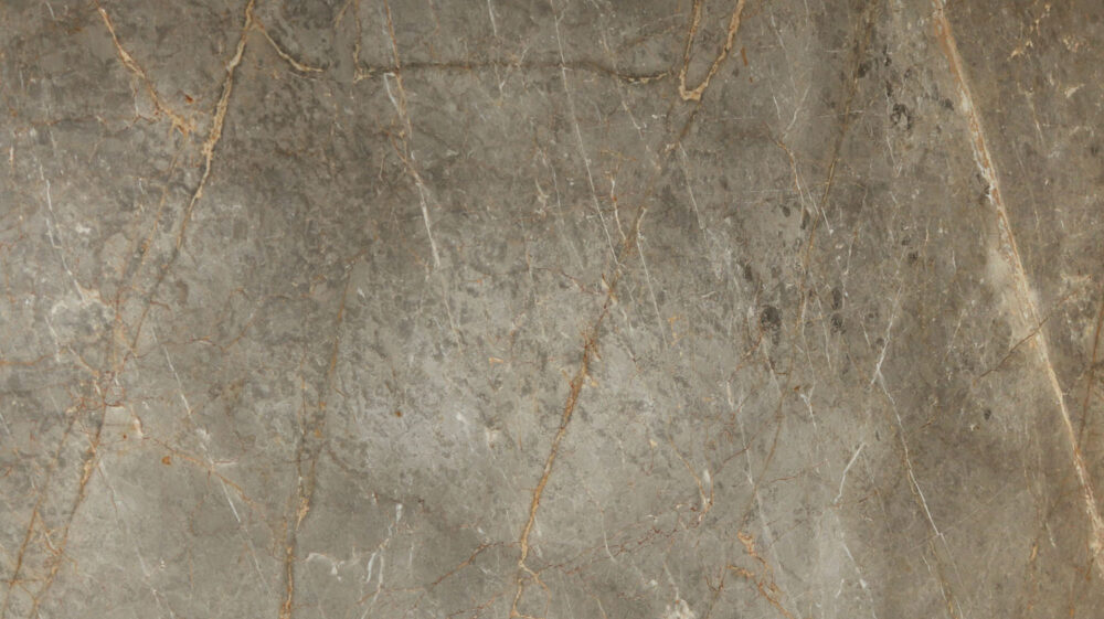 Veined - Image 5