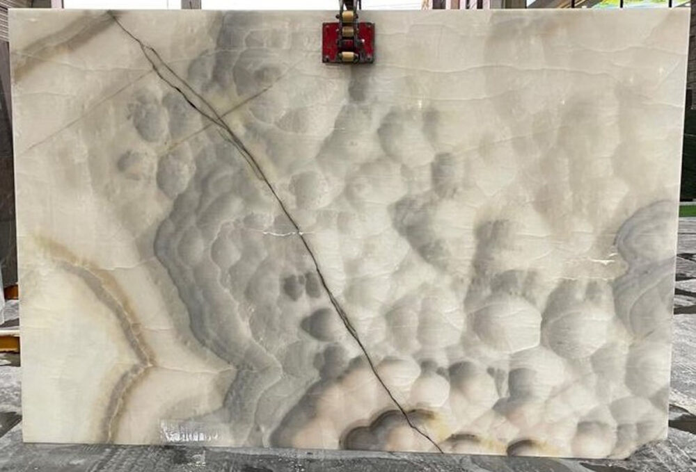 Sporefield - Image 2